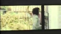 三级伦理