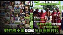AV解说