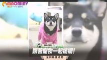 三级伦理
