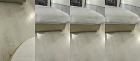 探花系列