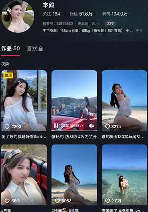 本鹤抖音网红