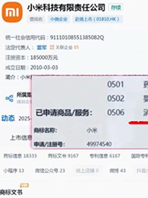 雷军新品