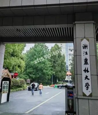 吴梦鑫